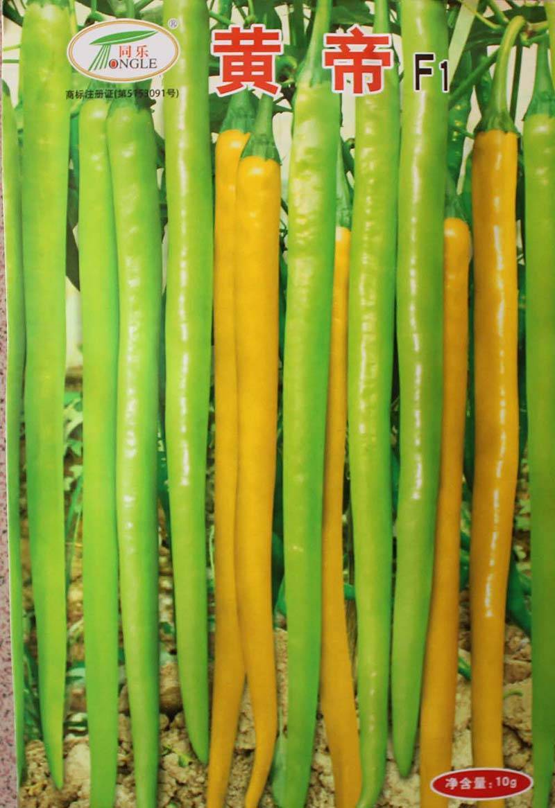 黄帝线椒黄线椒黄贡椒黄色辣椒高产辣椒种子