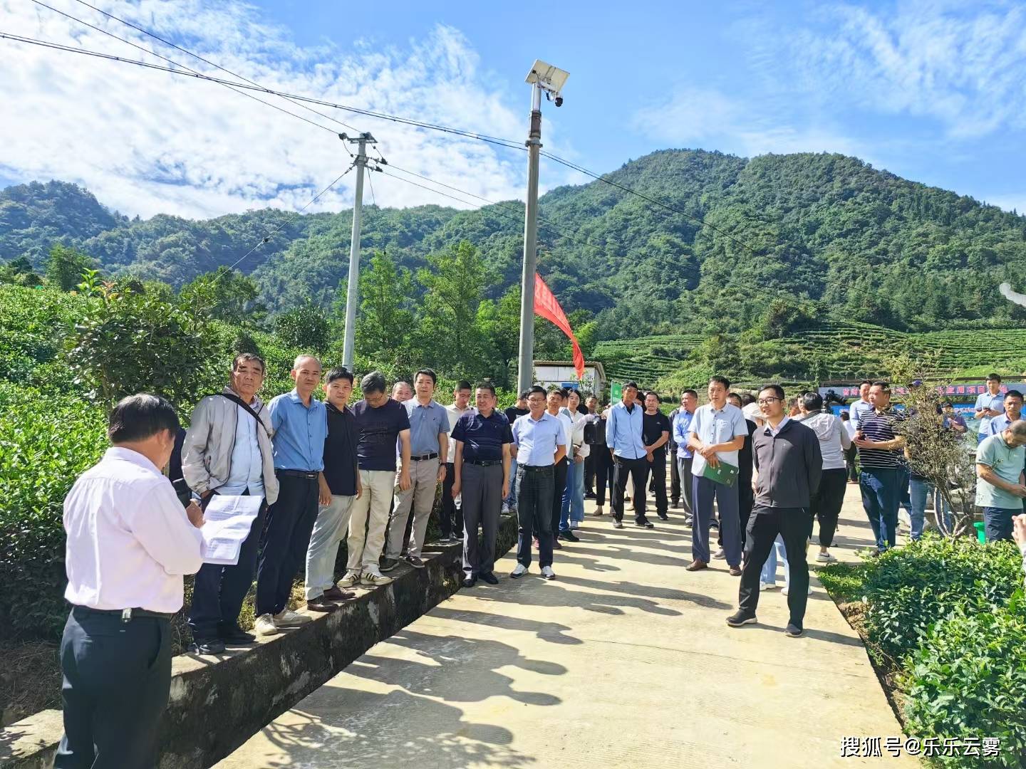 特色农业观摩与培训现场_茶叶_头陀镇_虎形村