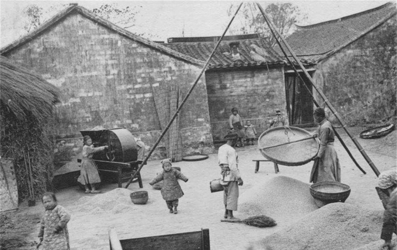 图1农民用力打谷子,图4贫穷孩子帮父母拉磨碾米_生活_情景_清朝