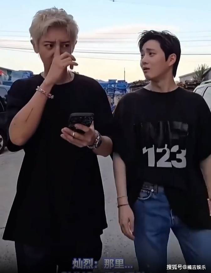 向佐摸鼻梁的含金量:从表情包到文化符号向佐摸鼻梁的动作之所以