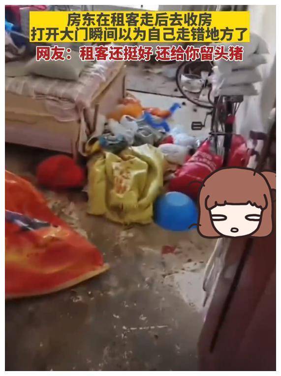 一头猪引出24具女尸案图片