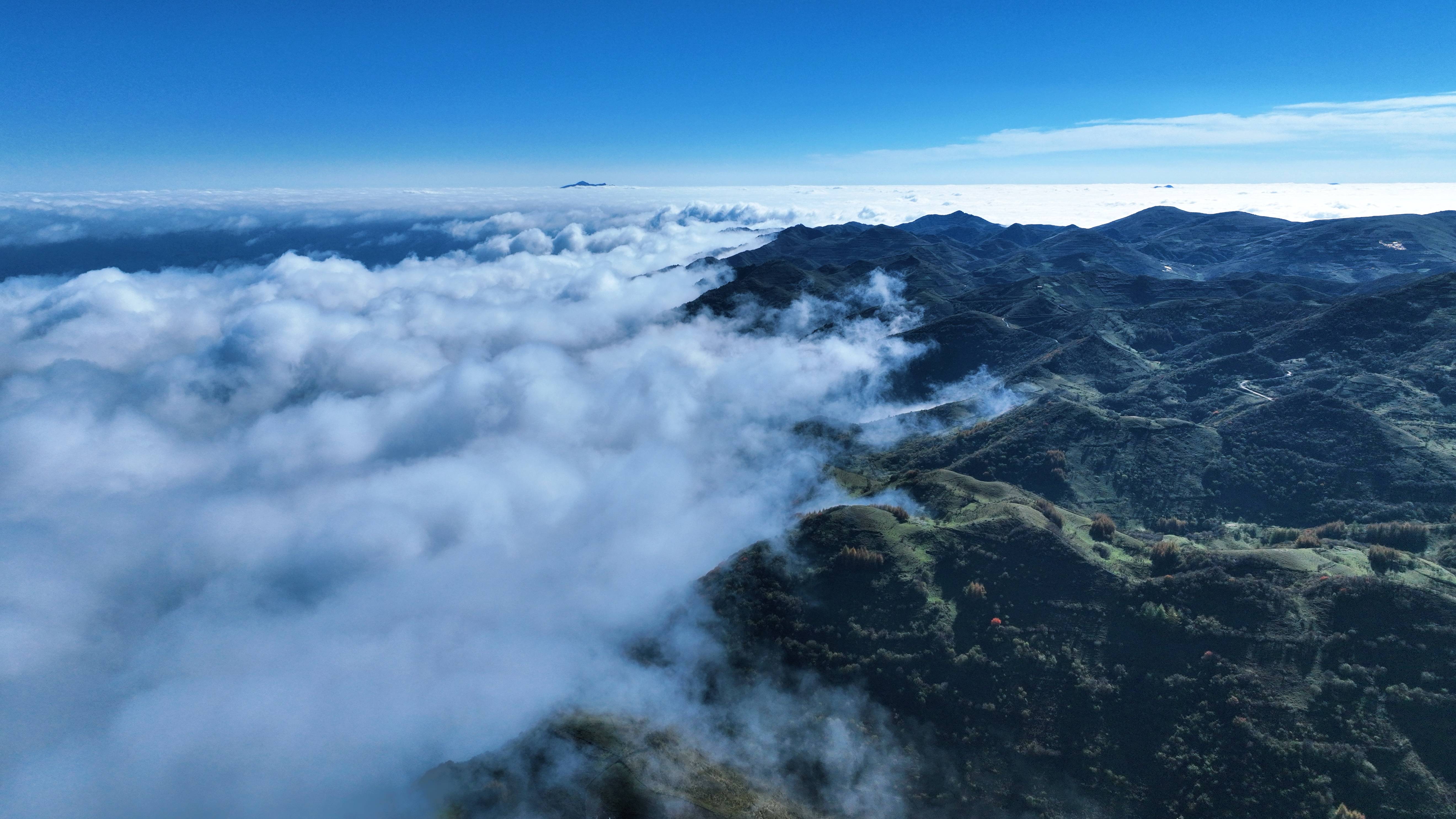 武都:千坝草原云海 仙气飘飘惊艳世人眼