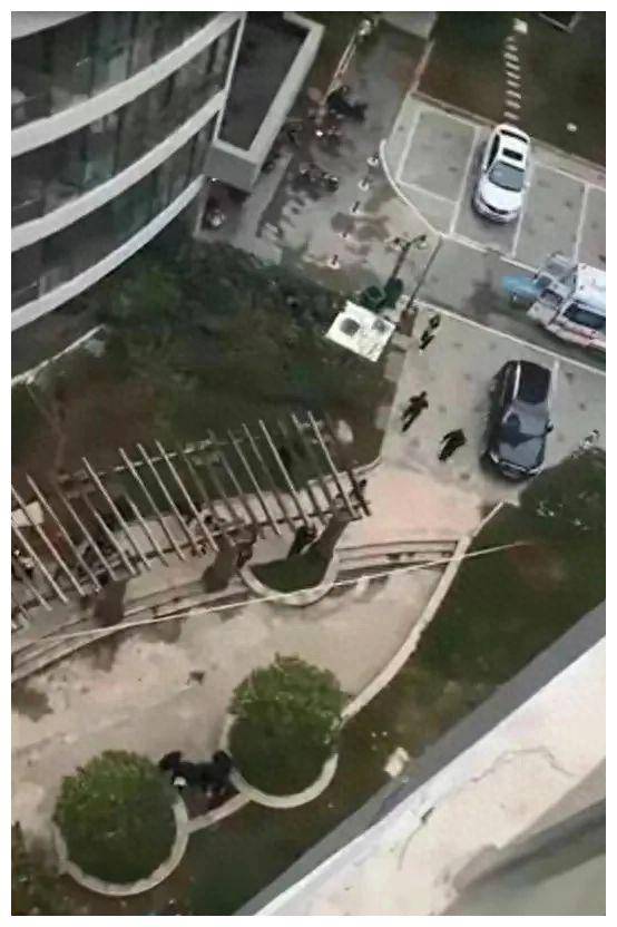 青岛母子3人坠楼,丈夫急忙回家,警方带走婆婆,内幕曝光!