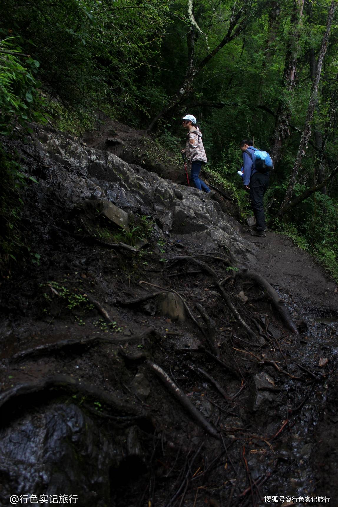 新手小白云南雨崩村徒步是种什么体验?穿越原始森林,轻松拿捏