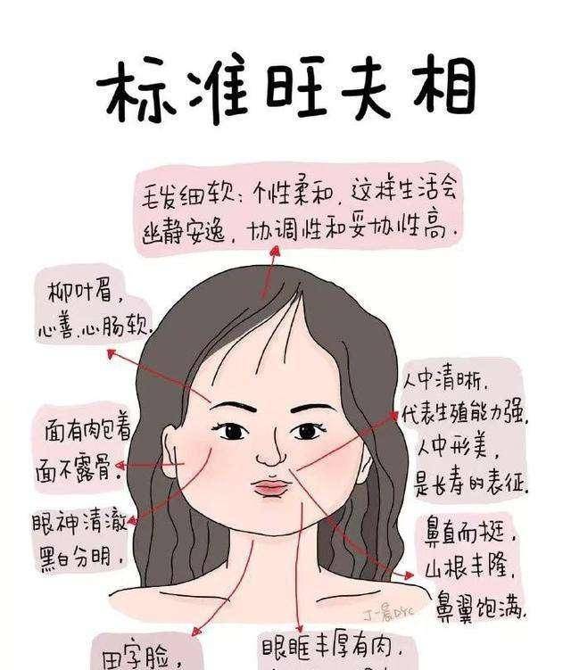 头大一定有福吗