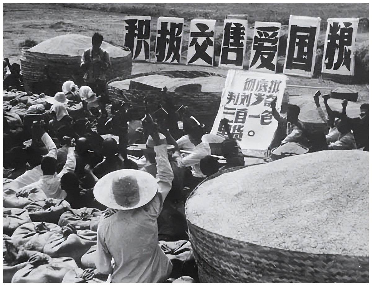 一组老照片,带你了解交公粮的场景,父辈们终生难忘的记忆_乡里_粮站