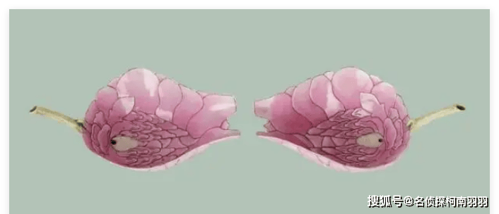 北京翰海拍卖征集：晚清光绪时期瓷器秋操杯有几种_搜狐网