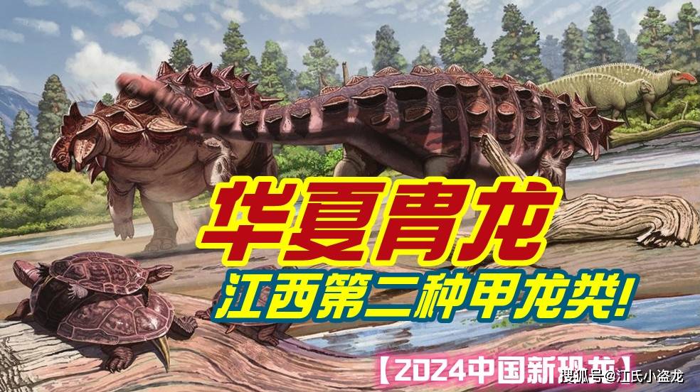 时隔近40年,这种甲龙终于被命名啦!_龙的_胄龙_化石