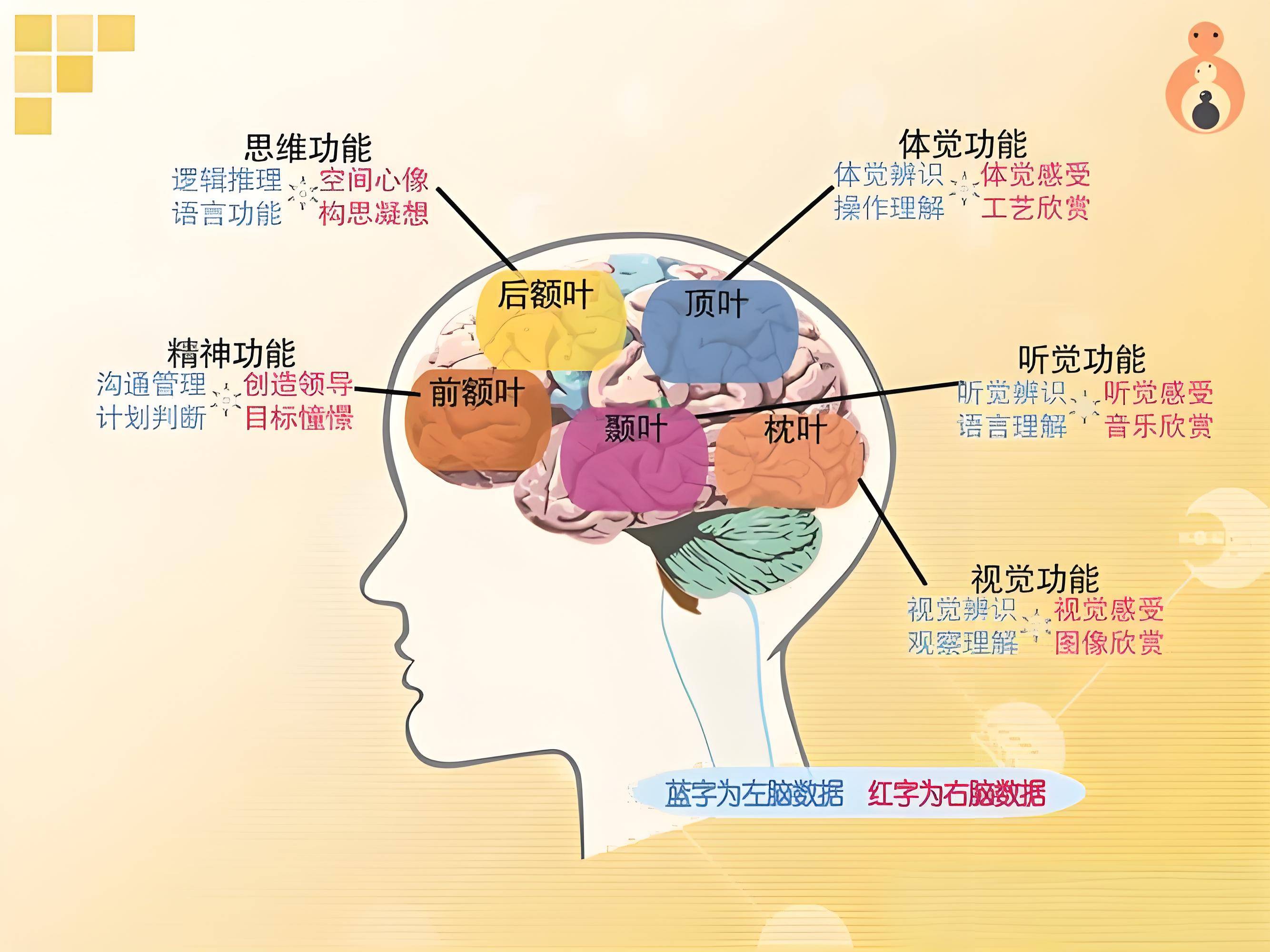 偏瘫患者为什么会伴有失语症状?穆广态教授专业详解