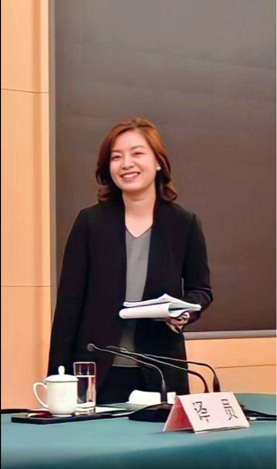 她的长相是传统的中国美人样貌,参与会议的时候不苟言笑