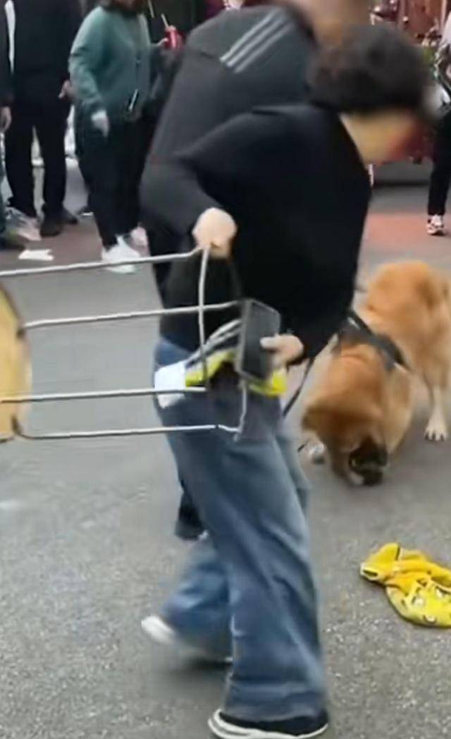 长沙:女子遛狗不拴绳,导致自家小狗被大狗扑咬