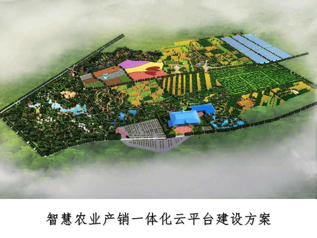 农产品产地直供：打通新鲜与便捷的最快链路