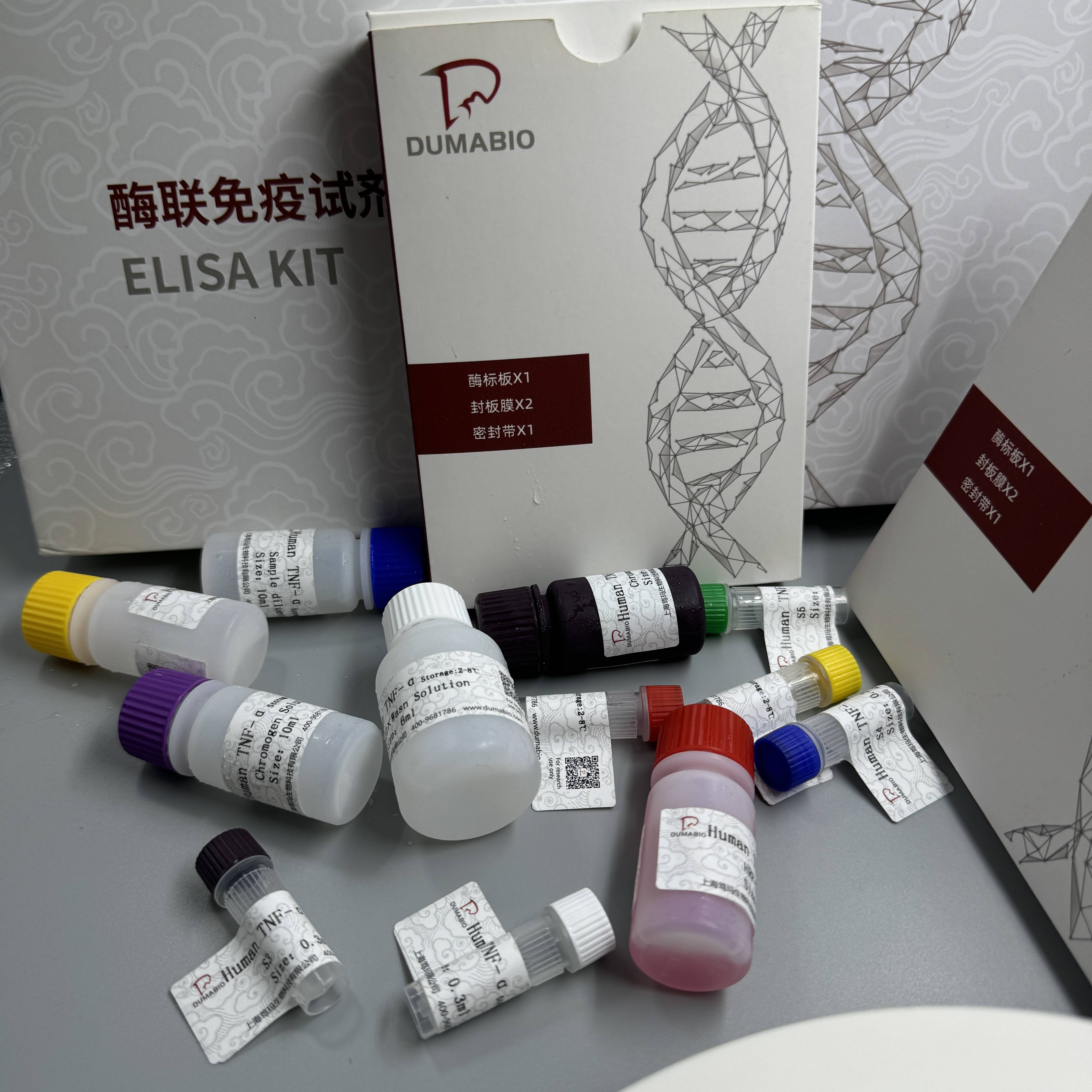 clostridium botulinum肉毒梭状芽孢杆菌c型外毒素基因pcr试剂盒