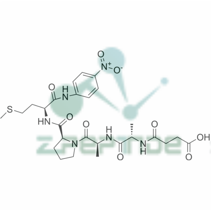 多肽合成：Suc-AAPM-pNA（72682-73-6）-Hypeptide