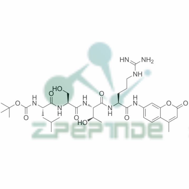 多肽合成定制：Boc-Leu-Ser-Thr-Arg-AMC（73554-93-5）-Hypeptide