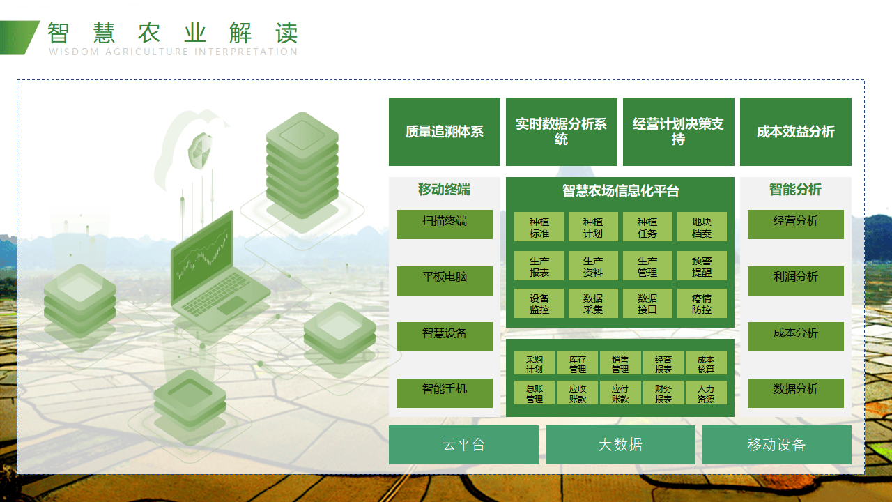 智慧农业:如何通过数字化技术重塑现代农业?