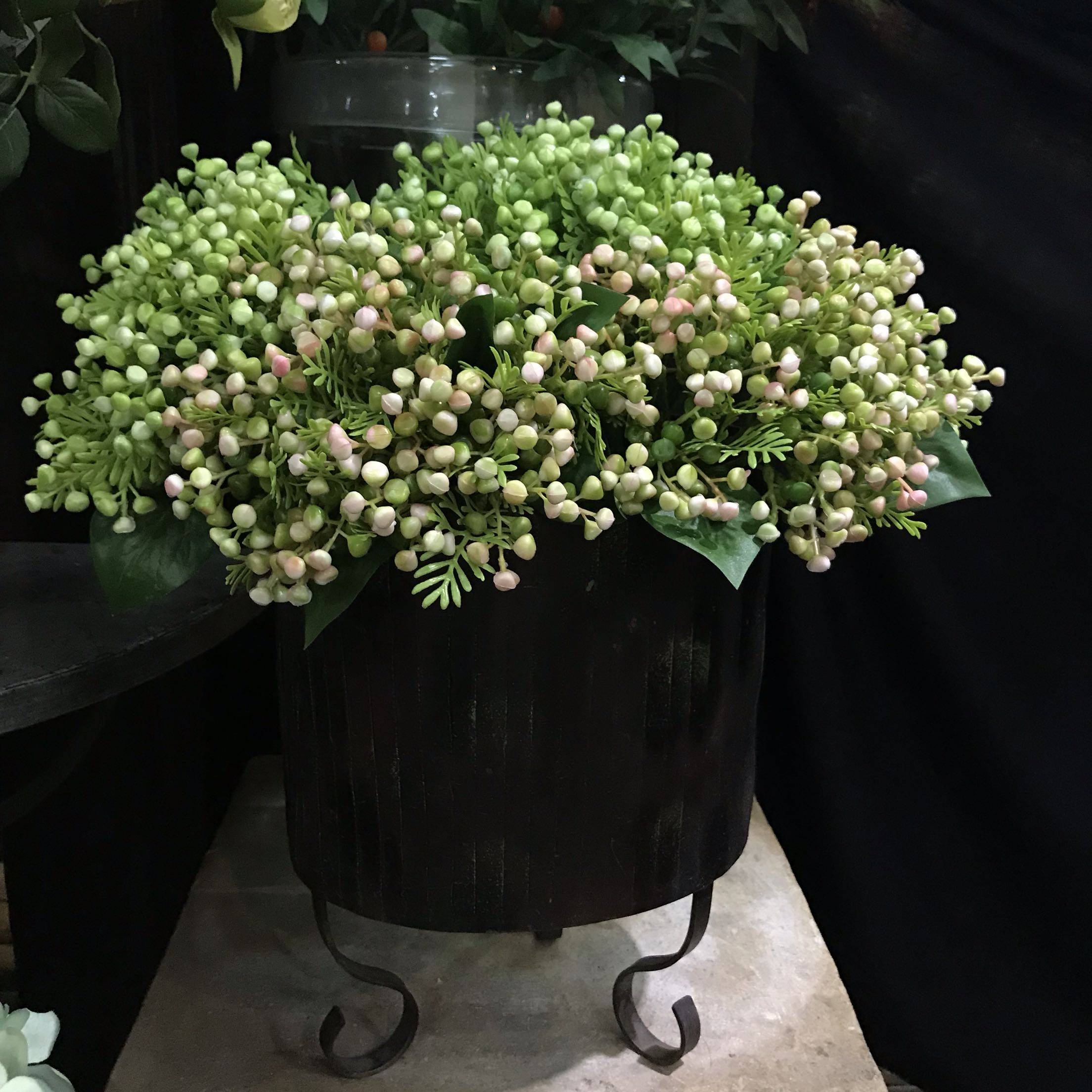 揭秘情人果的浪漫花语和古老寓意