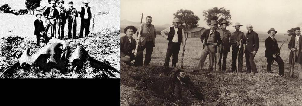 图片[8]-翼龙不是早已灭绝了吗？为何1864年美国人却抓到一只翼龙并拍下了照片？-华闻时空