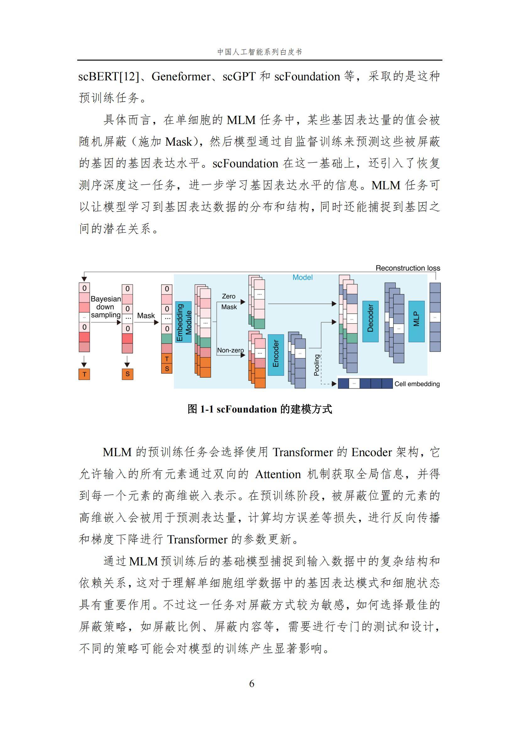 2024年中国人工智能在生命科学领域有哪些应用？中国人工智能白皮书-报告智库