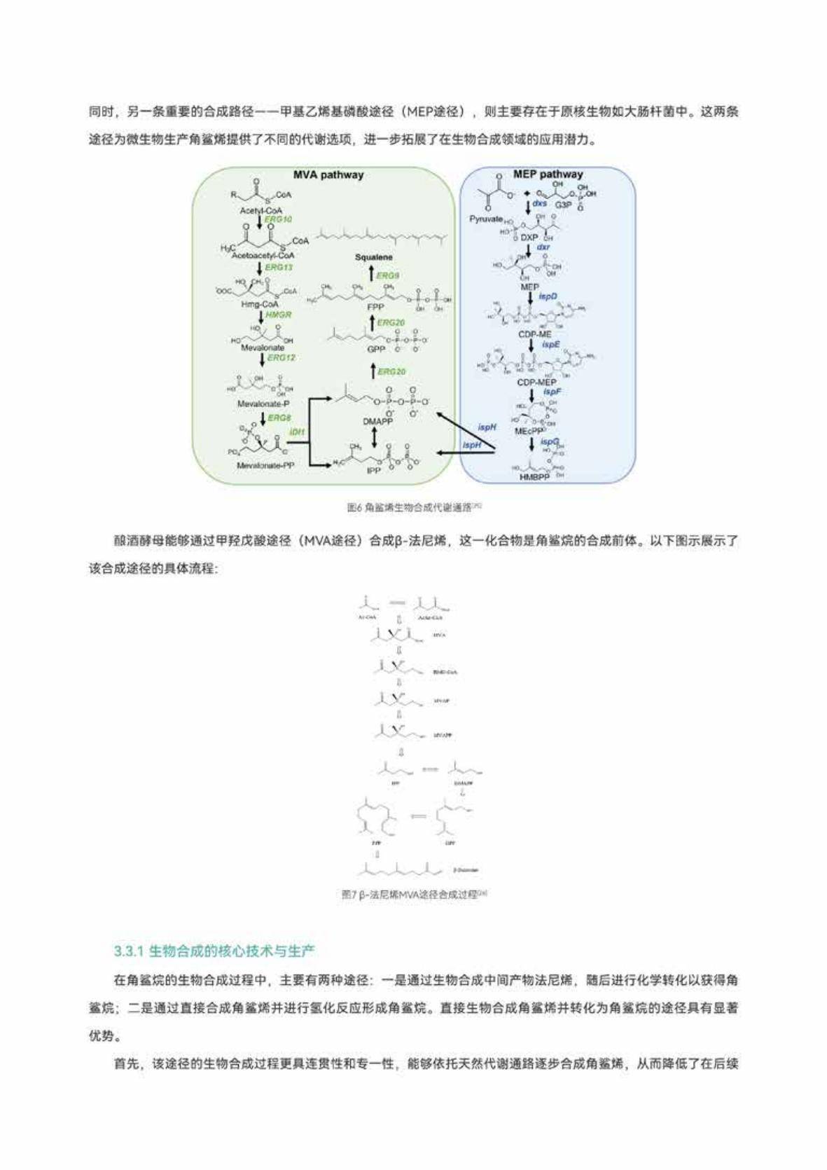 2025年角鲨烷行业趋势与市场机遇分析，全球角鲨烷市场规模是多少-报告智库