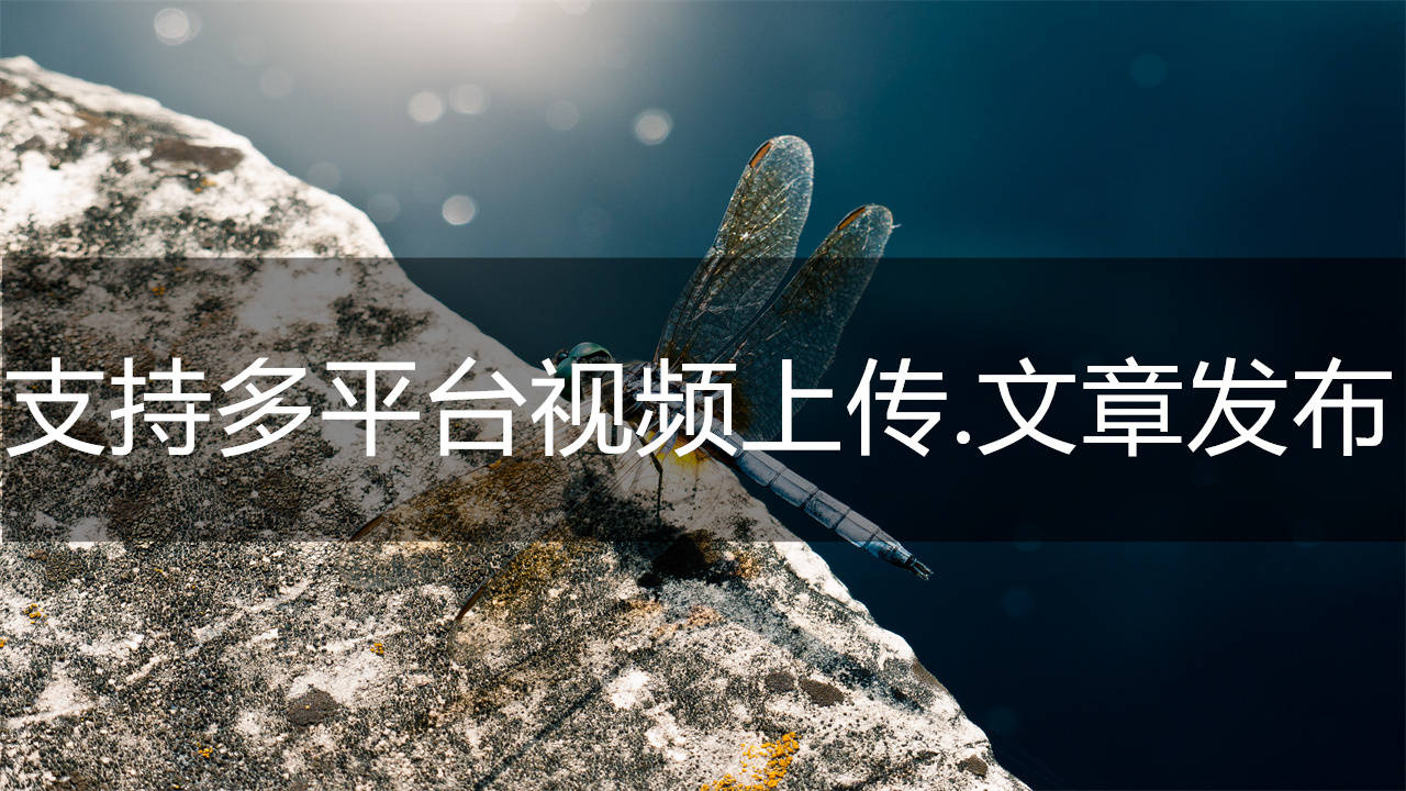 头条号创作平台官网app下载(头条号创作平台官网app下载安装)