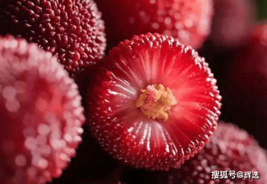 _午饭1个小时后吃香蕉会胖吗_饭前吃杨梅