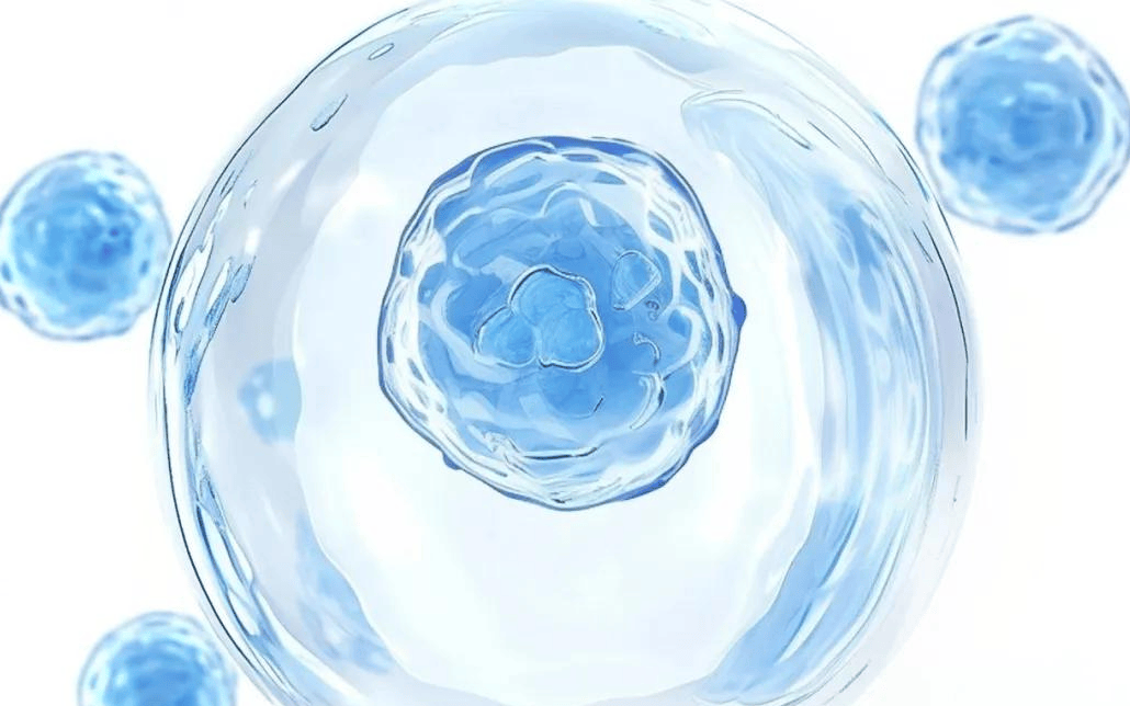 2ec3ef7f1bb9449f98e4479ea9e8ca83