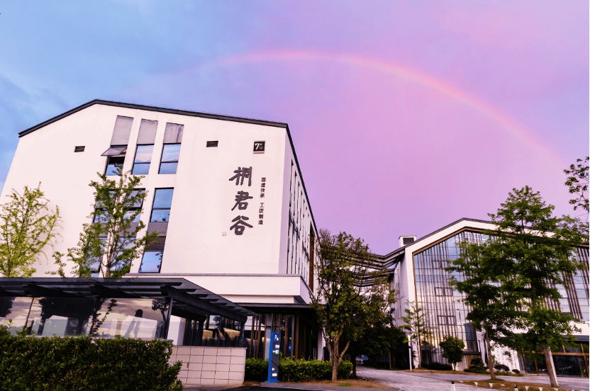 从经验到数据：桐君谷如何用“发酵”革新千年中药