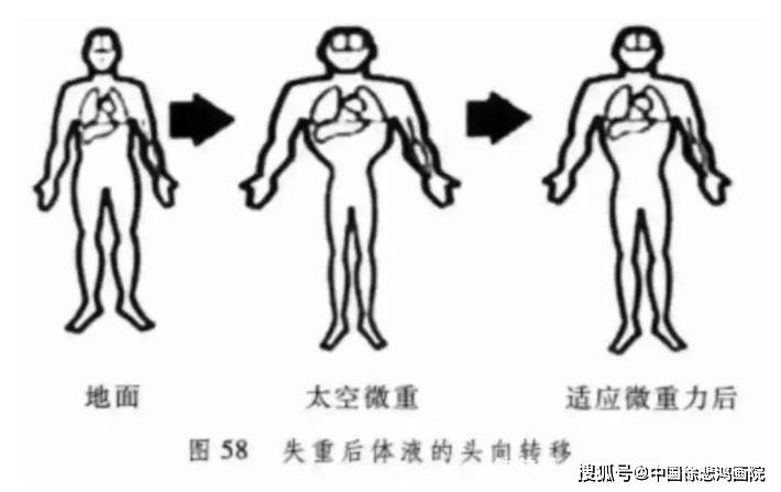 神十九返回后，为何没消息？