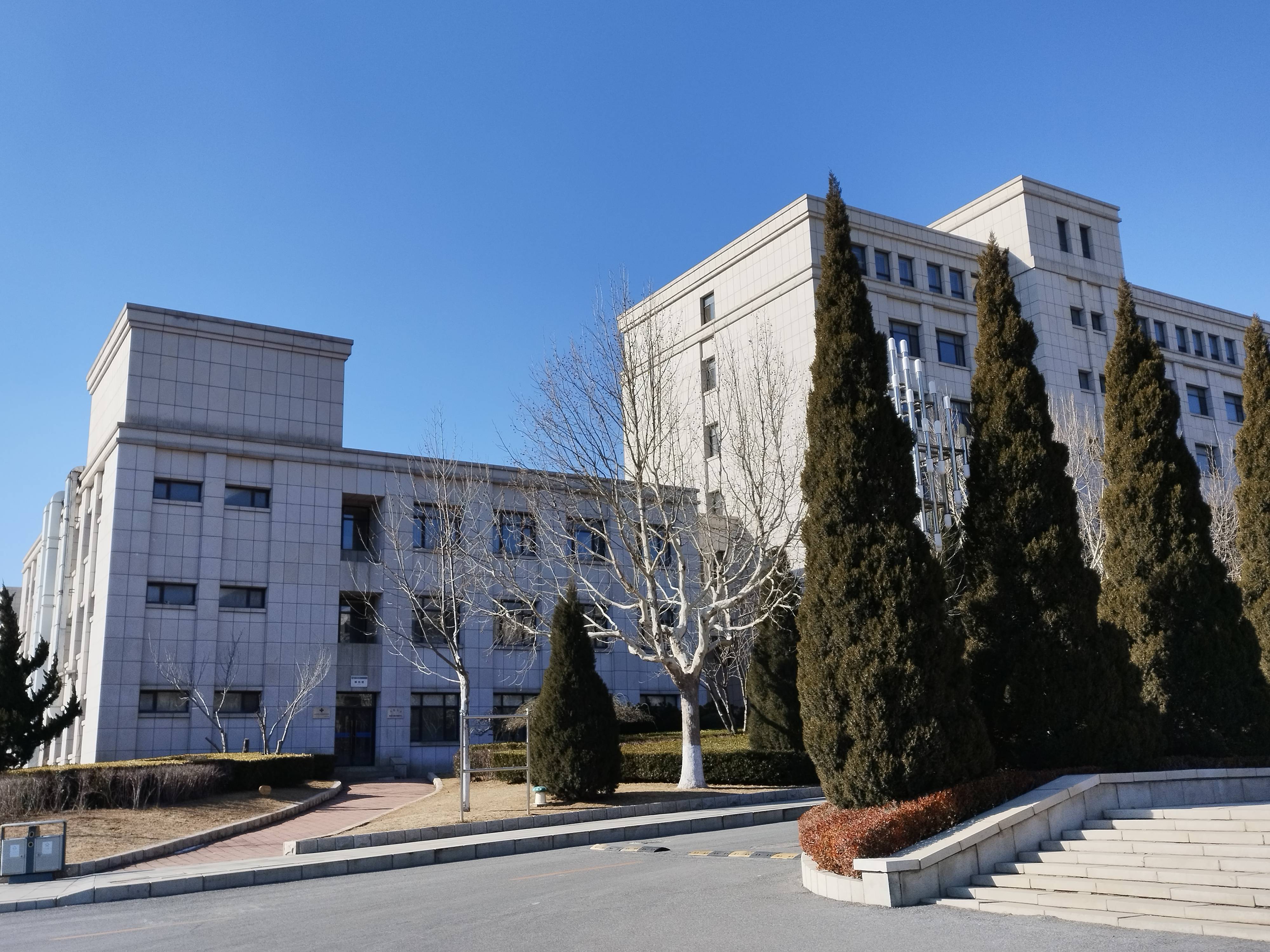 中俄教育合作新趋势大连大学22国际本科项目三大优势解析