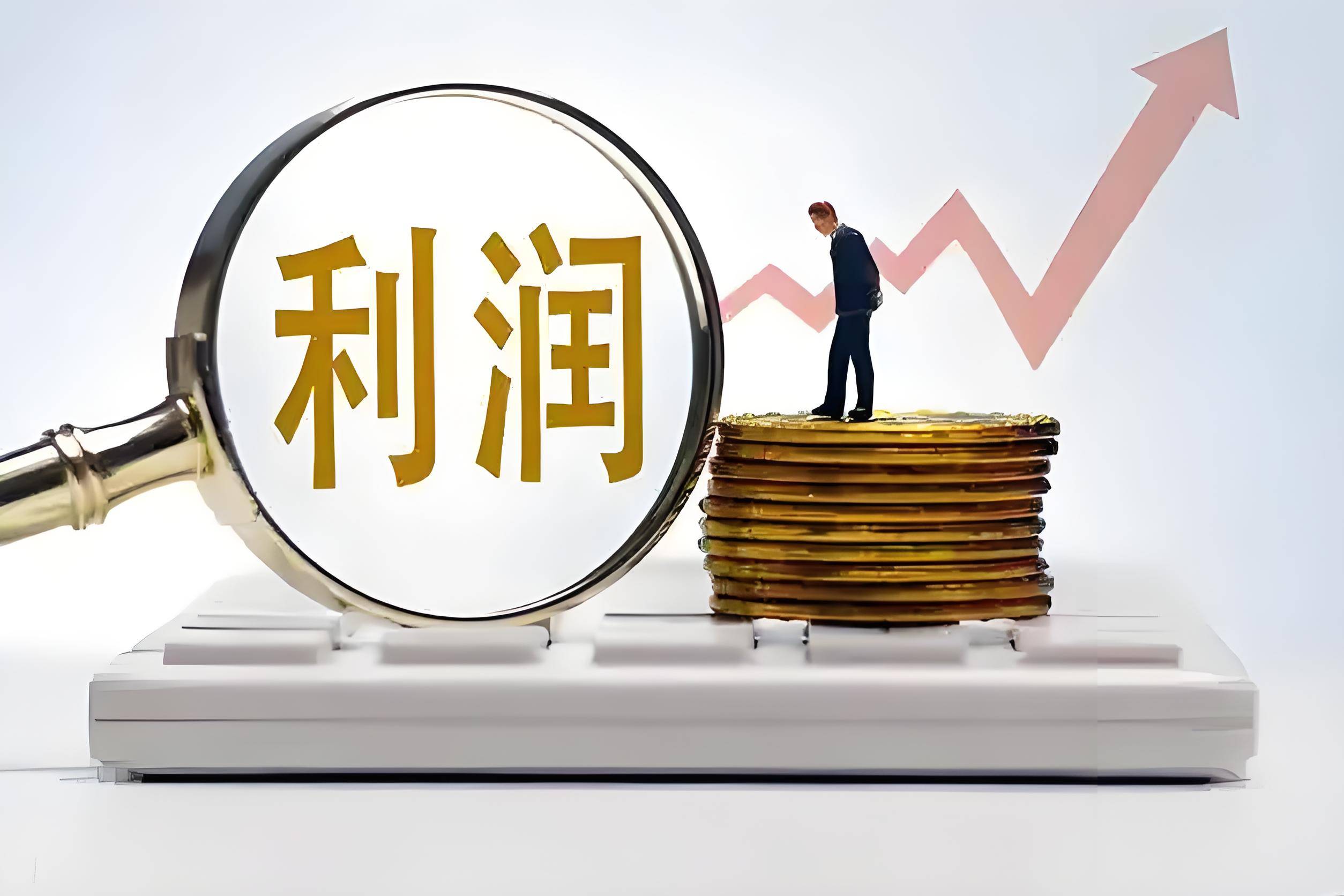 姜凯:如何建立"利润导向"的资源配置机制