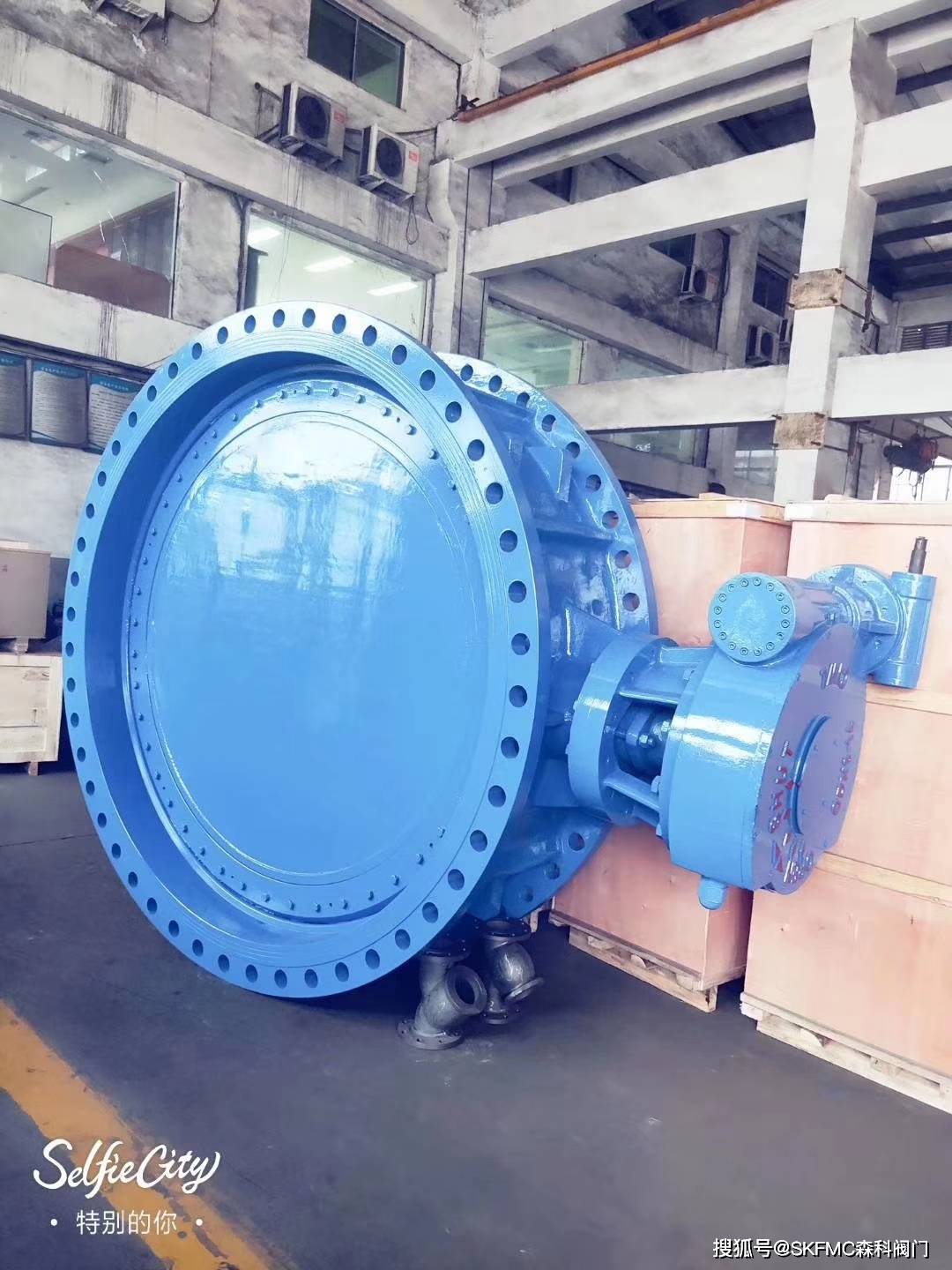 大口径蝶阀行业主要风险