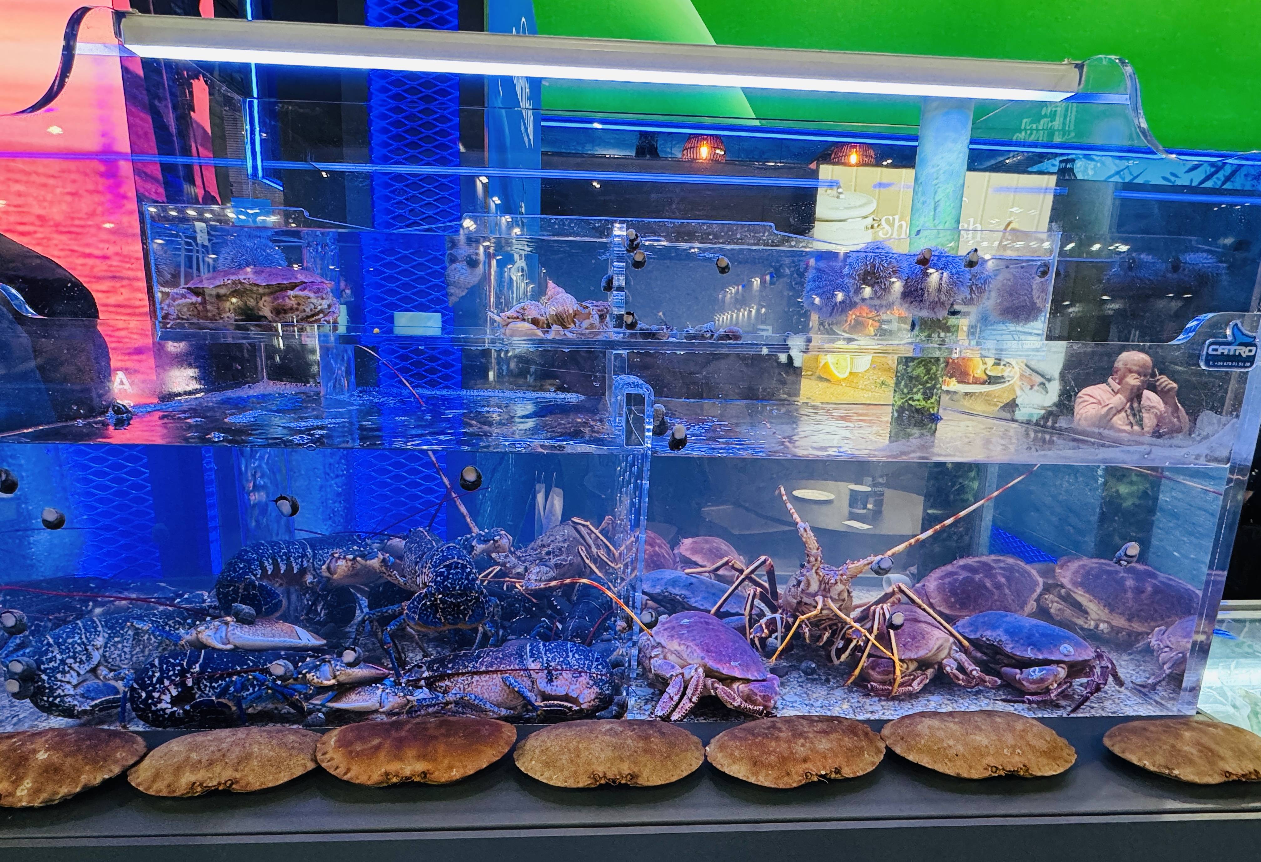 海产品相关图片3