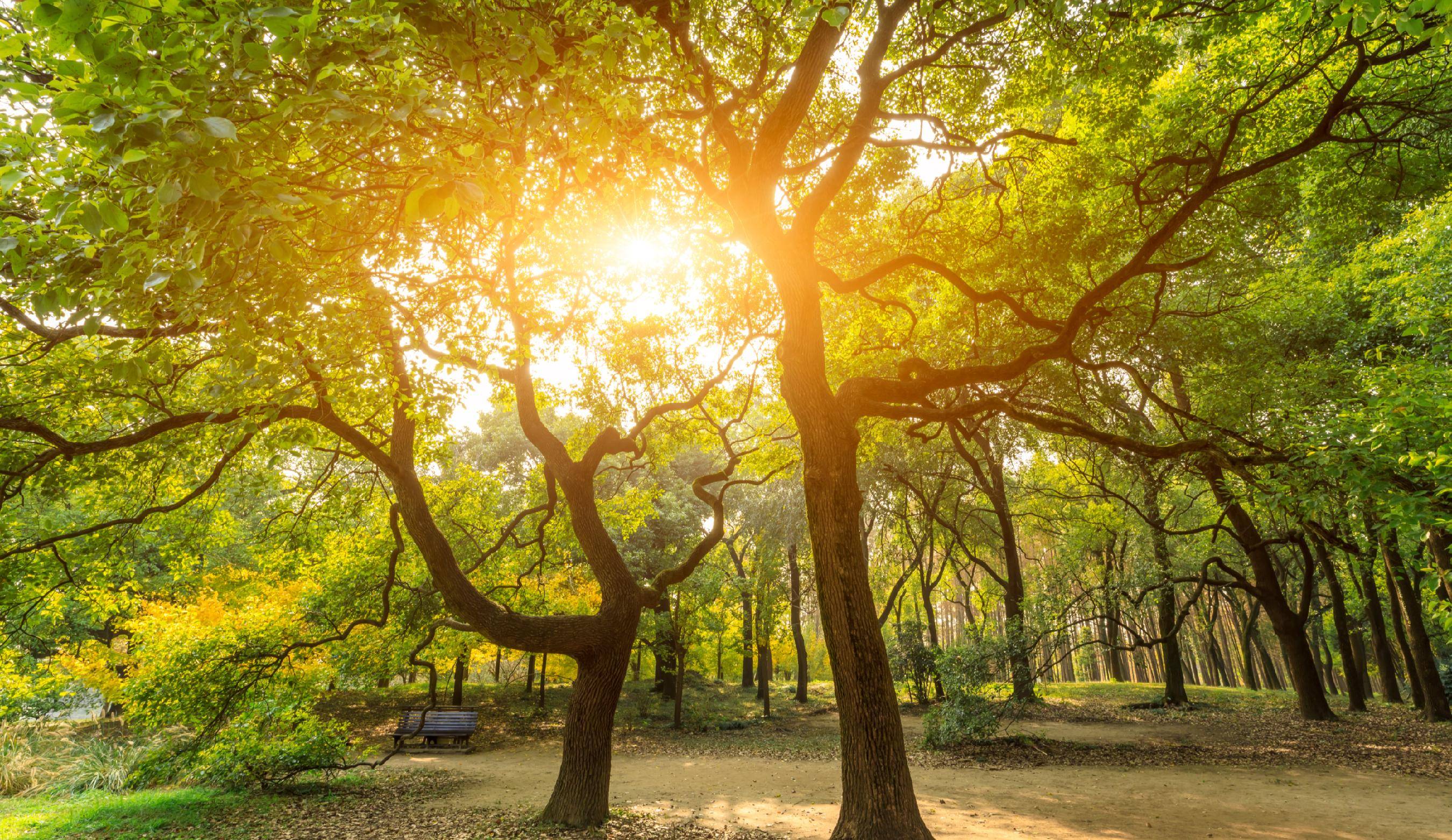 深度了解自己｜平静是否是情绪管理的终极目标