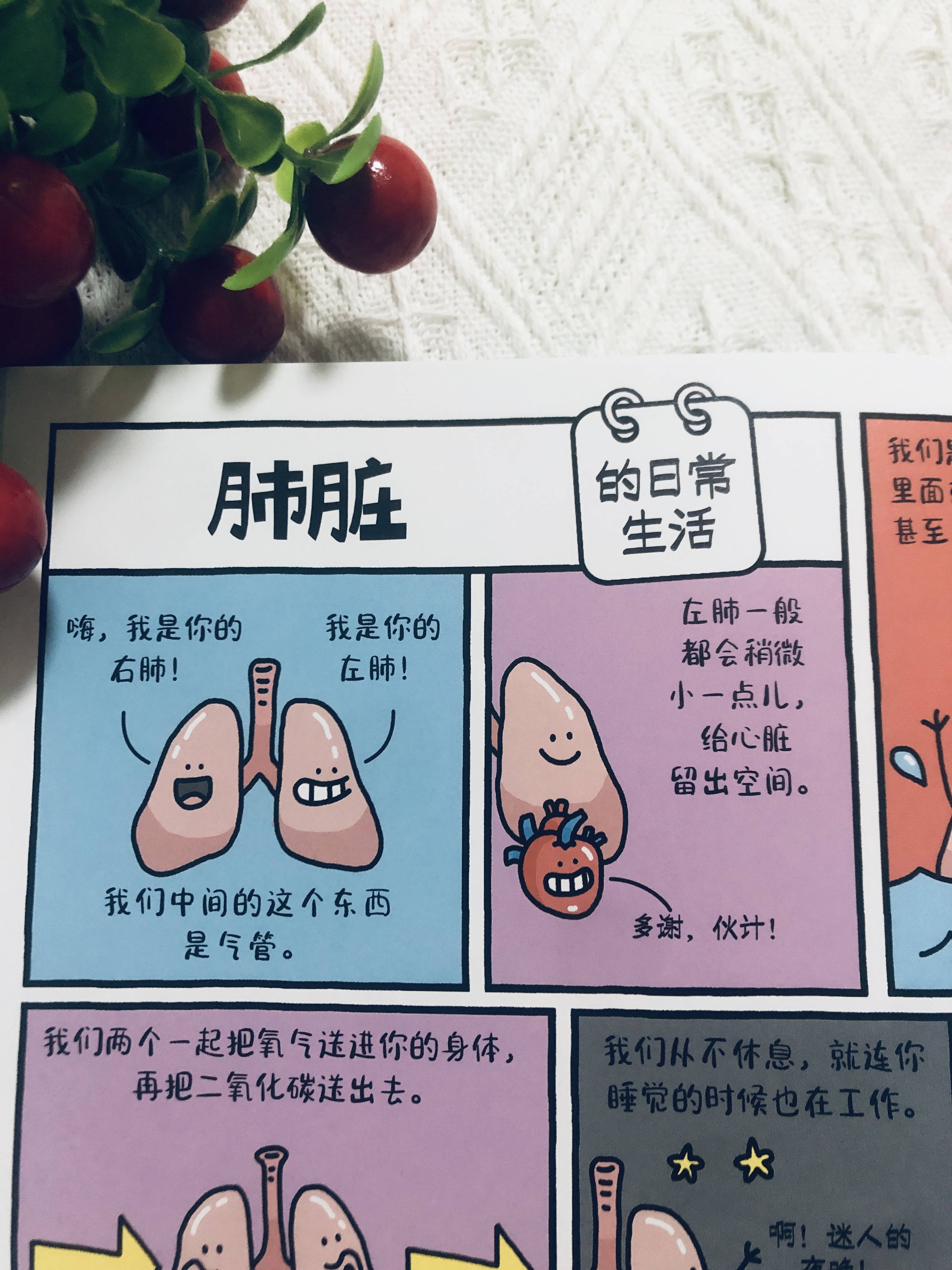 他是怎么把便便树懒和你的一天这三者联系起来?而且还那么好笑