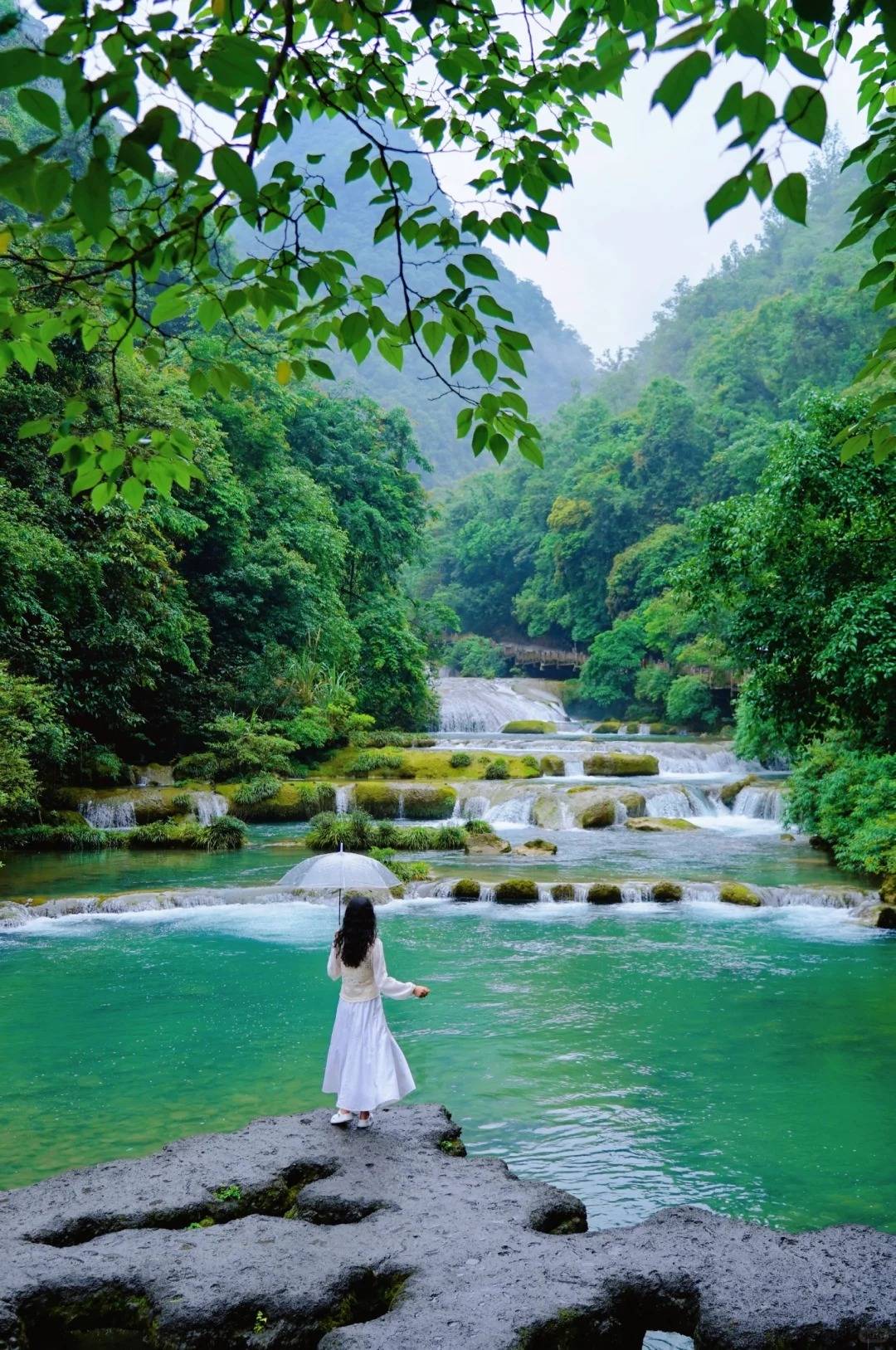 贵州纯玩团