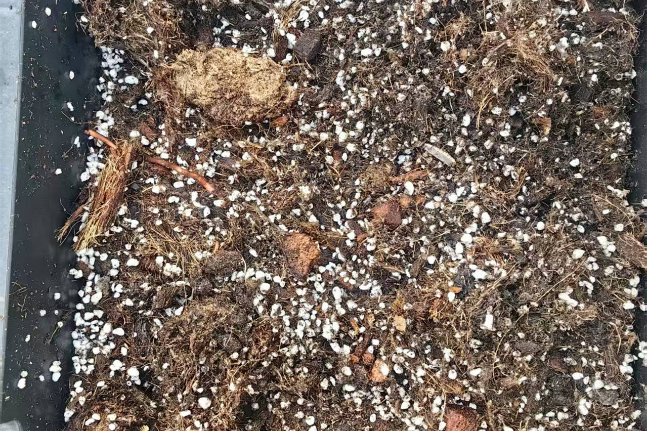 寿光市绿田国际商贸有限公司:进口基质土/蔬菜育苗基质/蓝莓基质/栽培