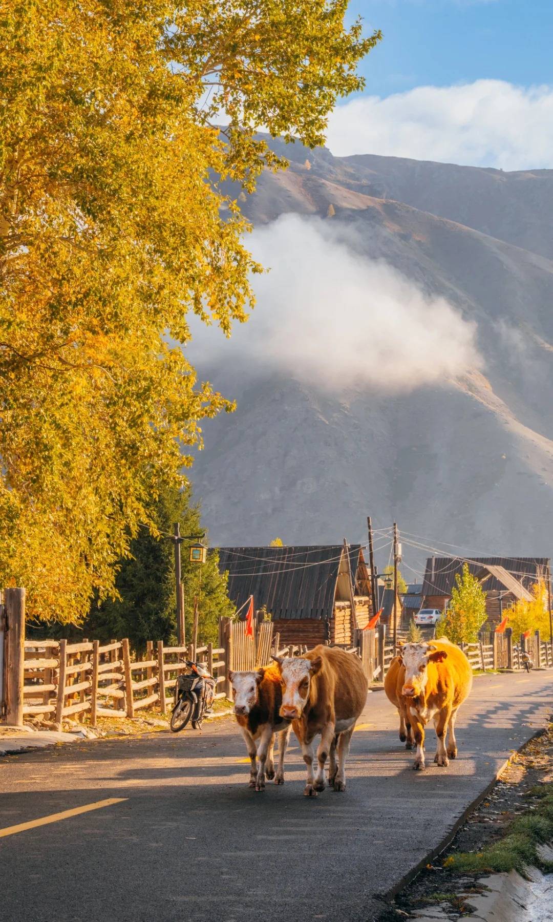 图片[3]-我的阿勒泰之旅：幸好选了问疆行，才没再错过美景-华闻时空