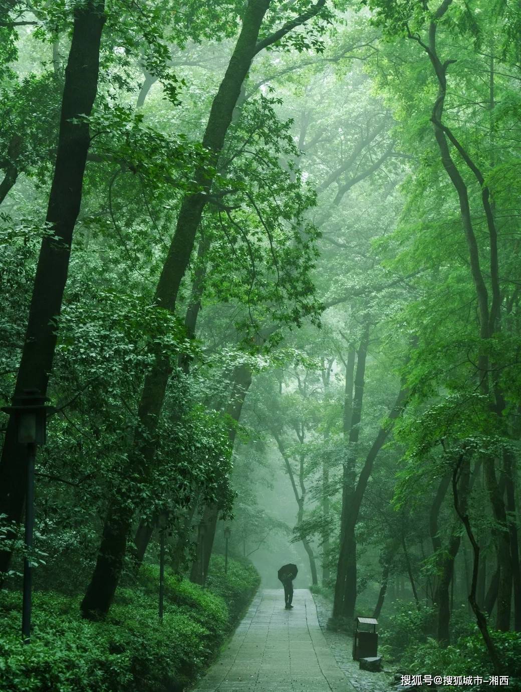 杭州出行怕踩坑?这份省钱攻略,让你轻松玩