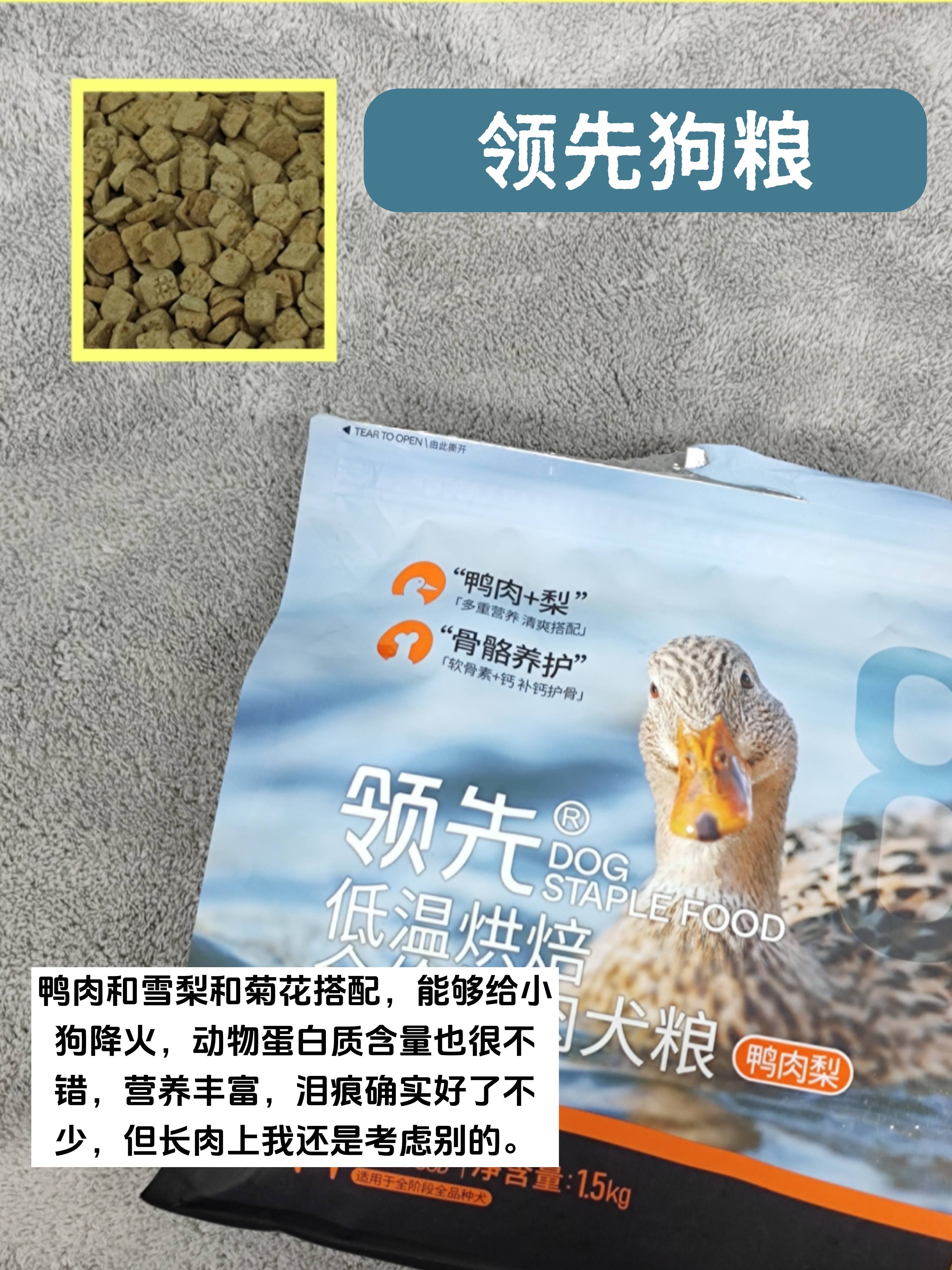 什么牌子的狗粮好?多年养狗测评热门狗粮_狗狗_毛孩子_我家