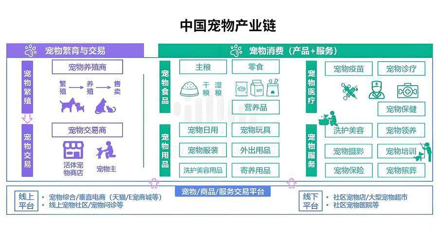 押宝宠物经济，光明现在下场还来得及吗？-锋巢网