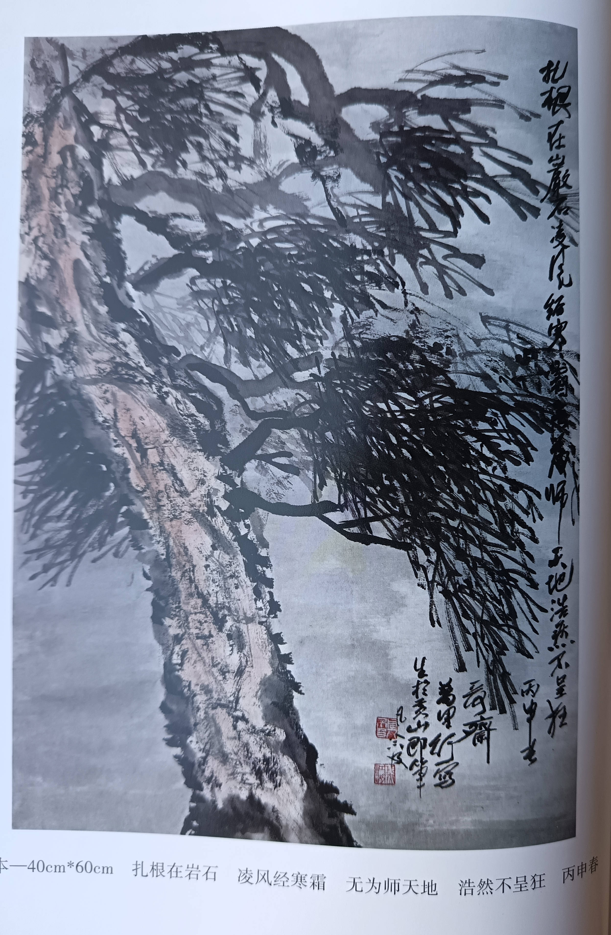 式的宽阔骨架与爽朗神情
