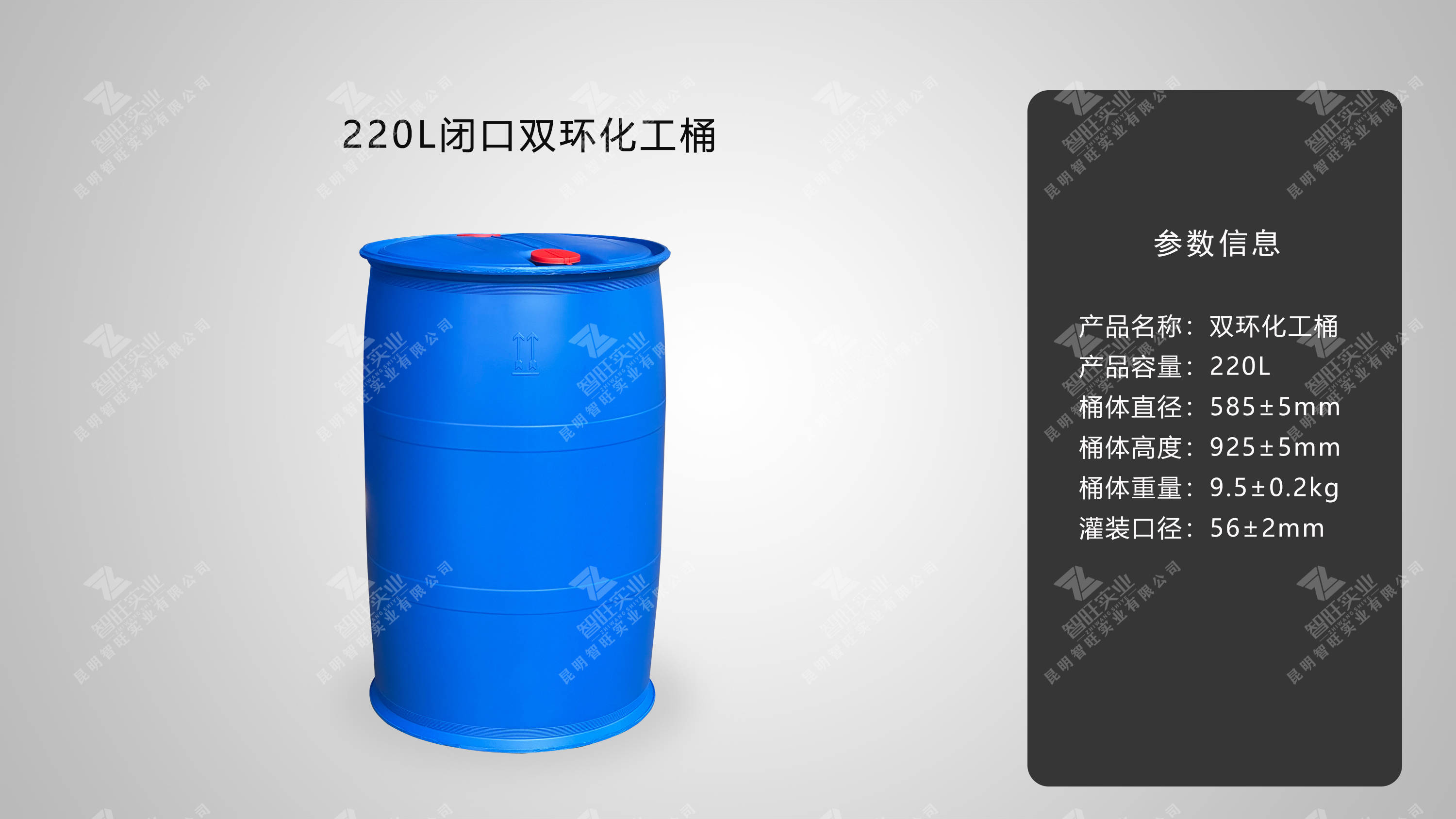 220L双环桶01.jpg
