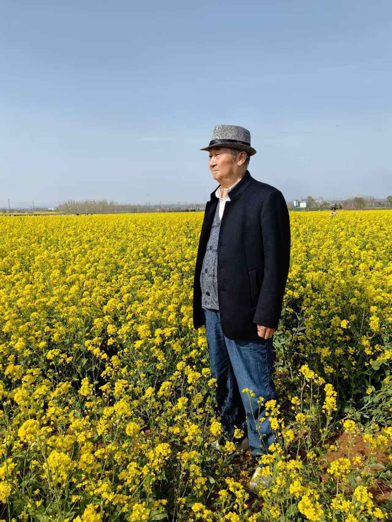 杨中杰老师2026年1月份兰亭杯艺术作品荣获【金奖】书法家独特风采展现