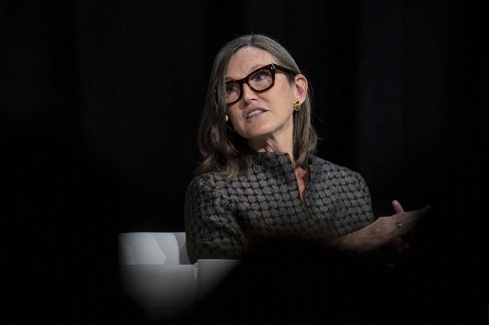 木头 姐 持仓 网站 (99) 사진