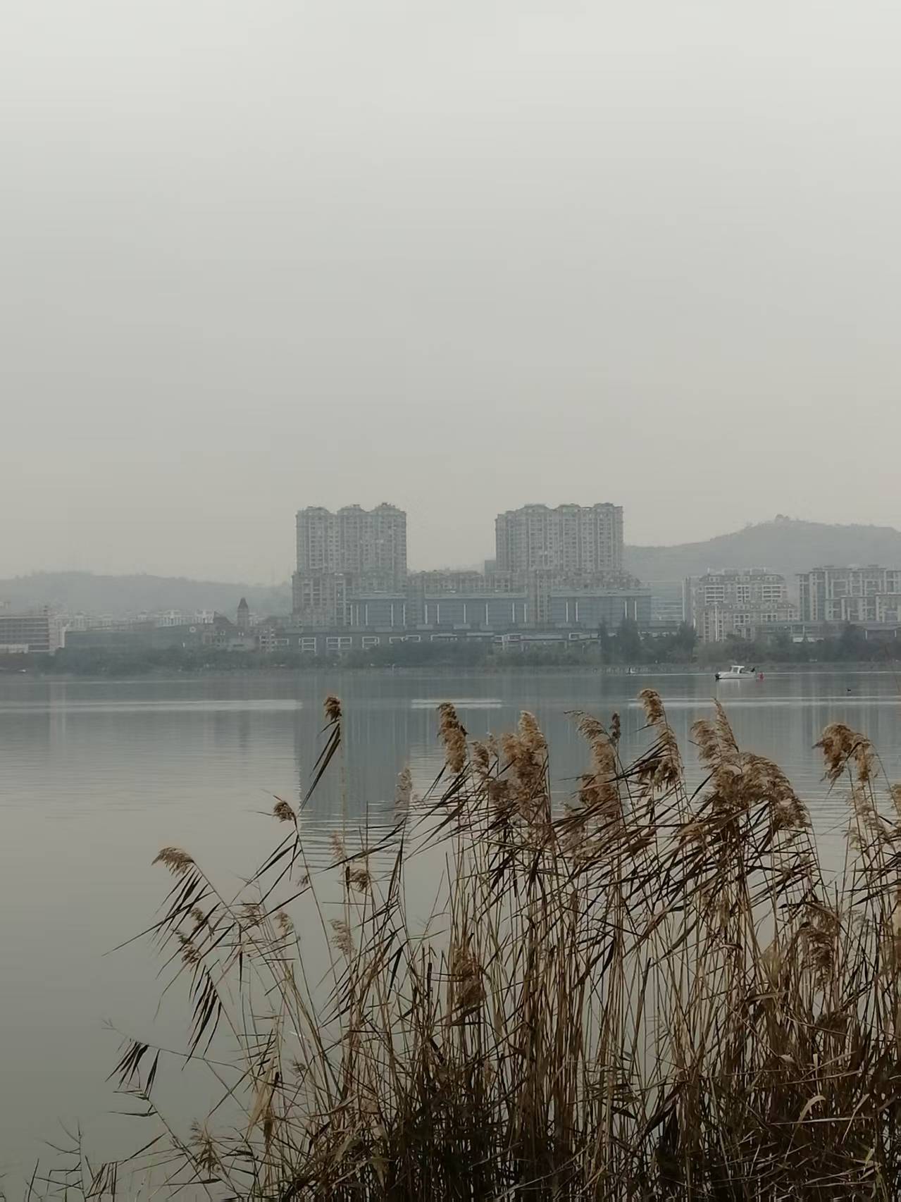 鹧鸪天 宁德南岸晨曲