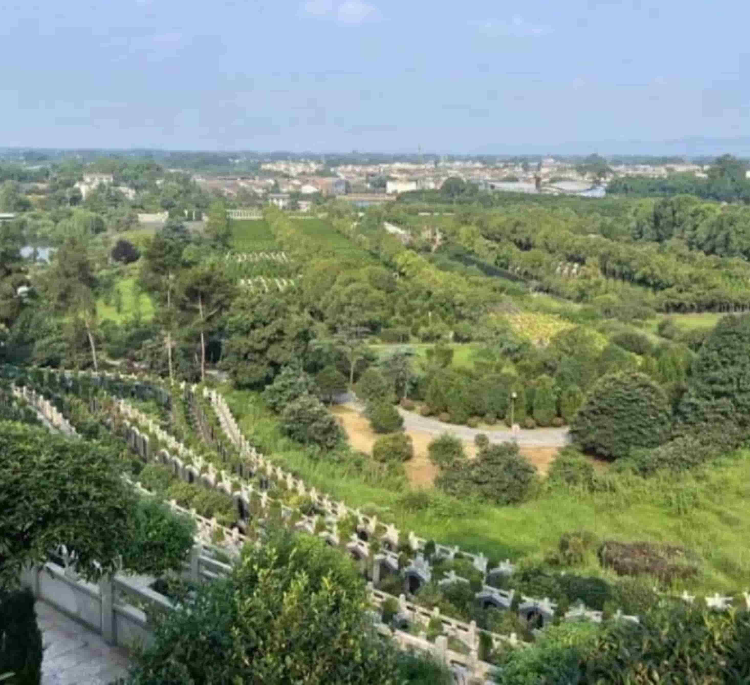 如何快速拨通红枫艺术陵园公墓联系电话？实用指南