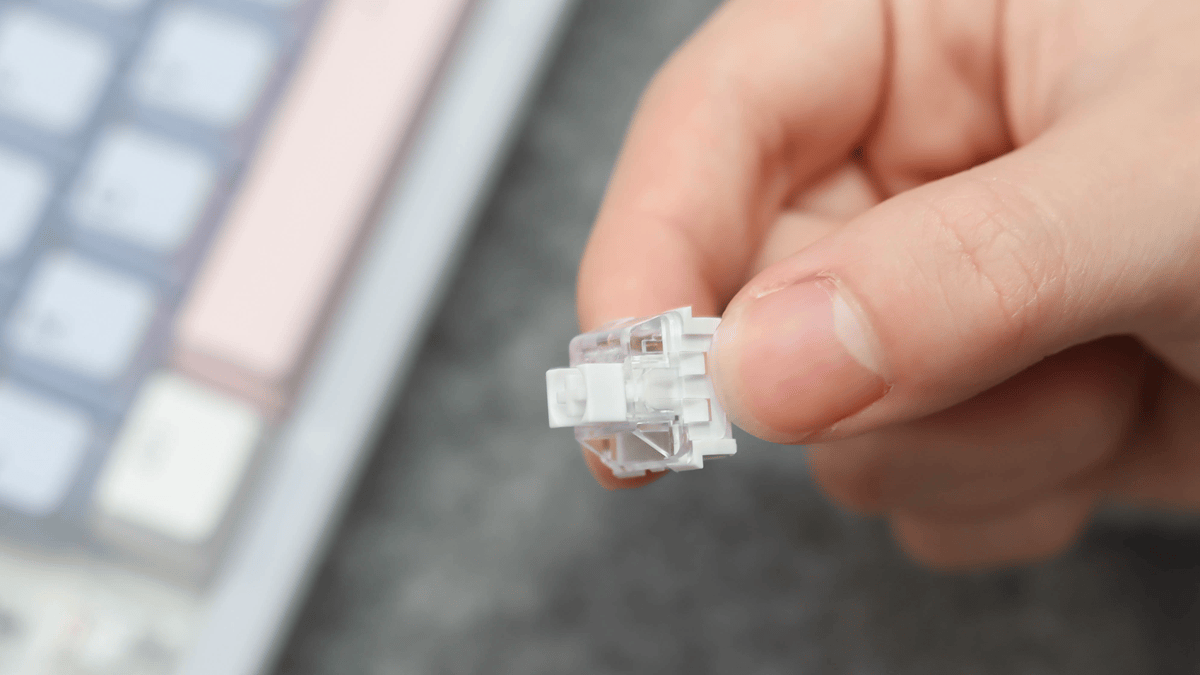 百元外设堆料狂魔!雷柏VT9 MAX+雷柏V700DIY-98长续航版入手体验