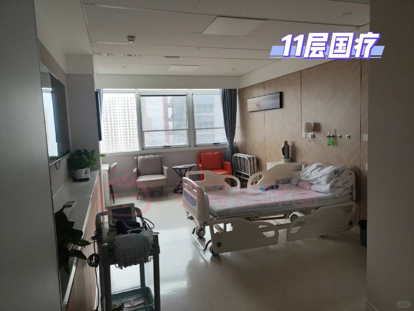 关于朝阳医院检查陪护加挂号住院日常需求代办,住院更舒心的信息 关于朝阳医院检查陪护加挂号住院日常需求代办,住院更舒心的信息
