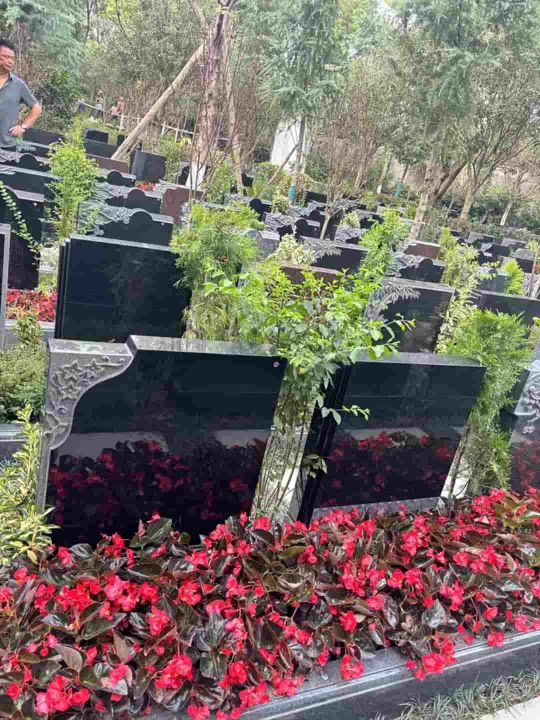 教你轻松线上预约